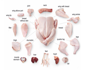 Isol Chicken Part SÃO SALVADOR ALIMENTOS S/A - Halal Certified Brazilian Frozen Chicken ...